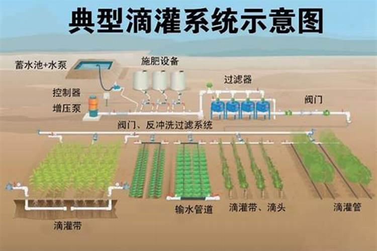 早晨晴天喷叶面肥半夜下雨雨了效果怎么样