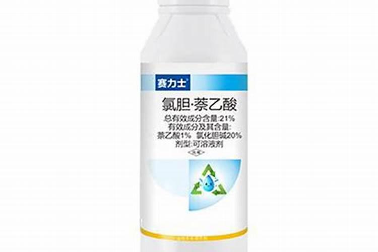 莴苣用什么肥料变高变粗 附莴苣的种植方法