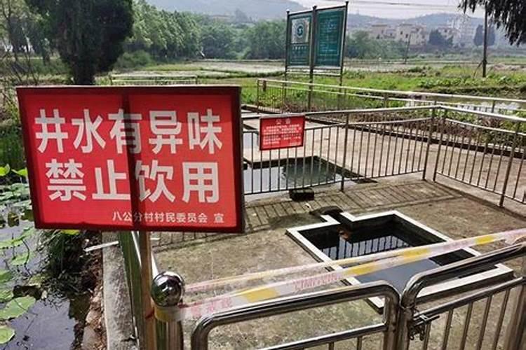 氮肥磷肥 在我们日常生活中在什么里含有这两种肥料？