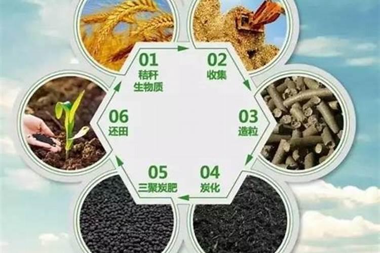 腐植酸肥料的作用 腐植酸肥料有什么功效