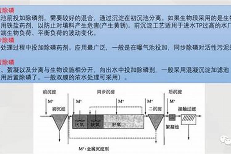 磷肥在水产养殖中的作用