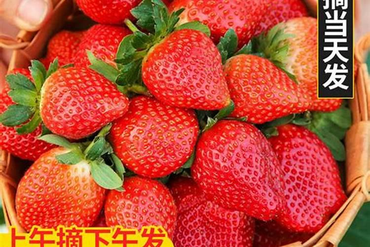 鱼突然大量死亡,怎么了？有人说是玉米杆子的事,我往鱼溏放了很多玉米杆...