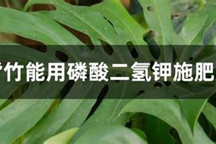 克伦生葡萄膨大后下啥肥料