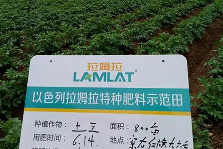 国外进口的叶面肥品牌都有哪些