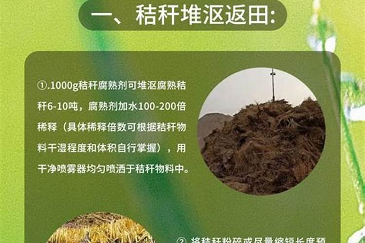 自制腐殖酸肥料