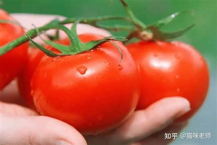 春暖化肥多少钱一吨？