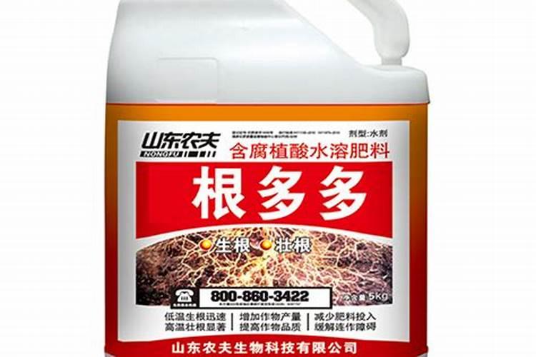 chald中文意思是什么呢？