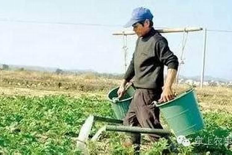 中国有多少花果山