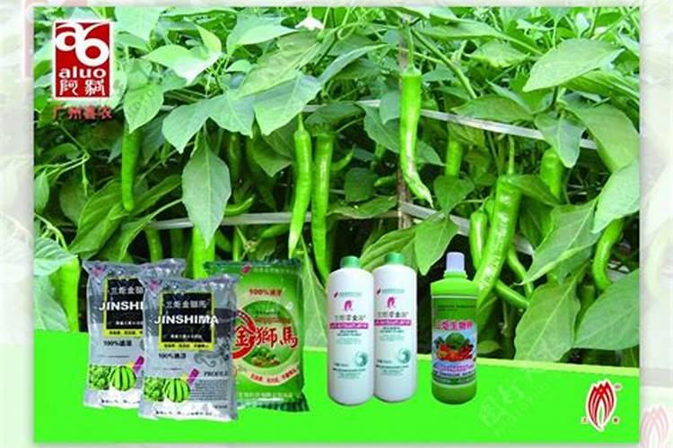 青椒施肥用什么肥料