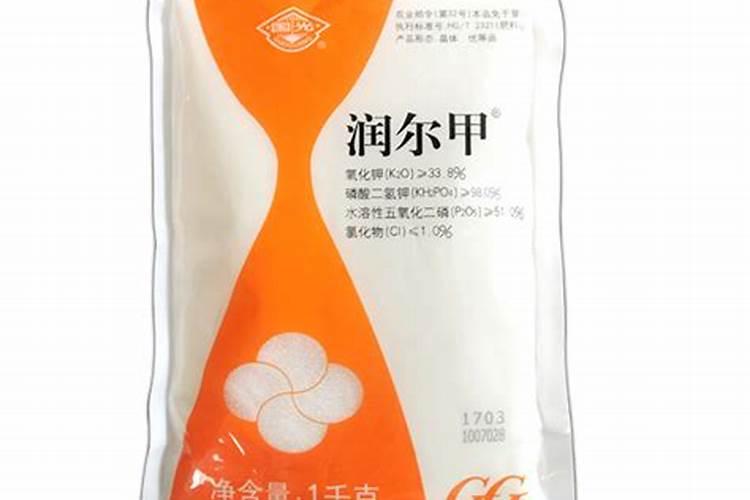 金圭玉臬是什么意思