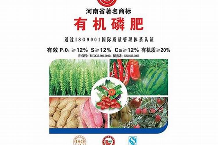 柚子树施水溶肥有什么规律？柚子各个时期施水溶肥方法