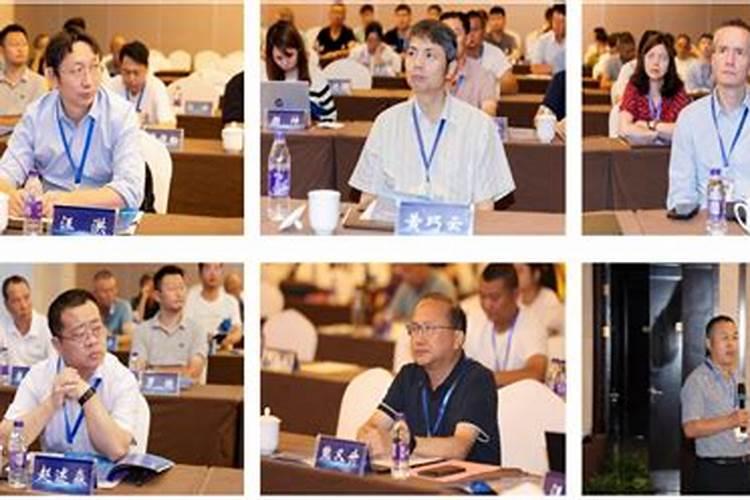 种玉米用什么肥料