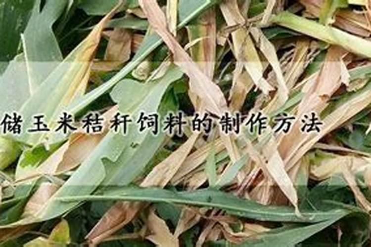 玉米秸秆还田 技巧
