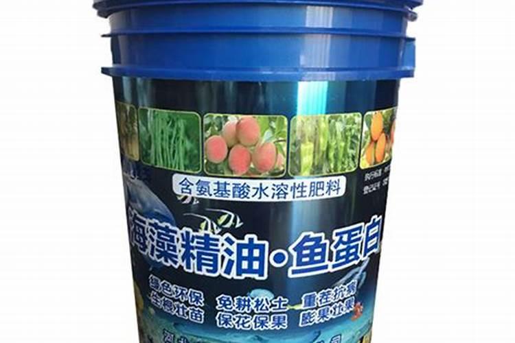 黄荆叶子不绿为啥
