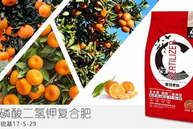 要桔子甜放什么肥料