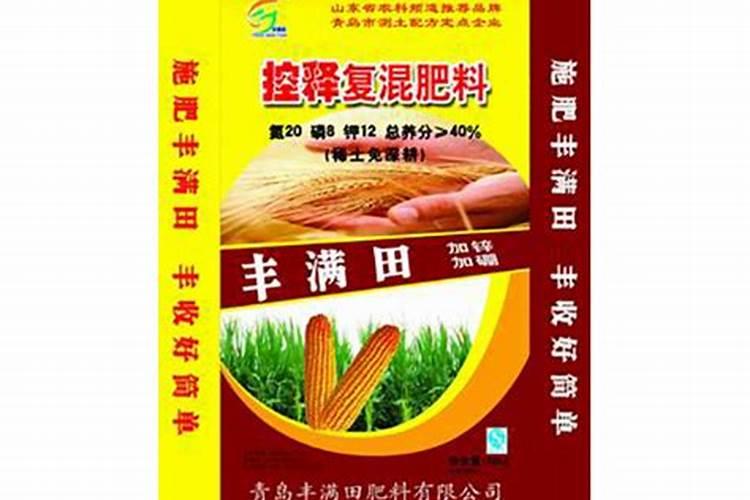 怎么才能使插扦的月季花生根？