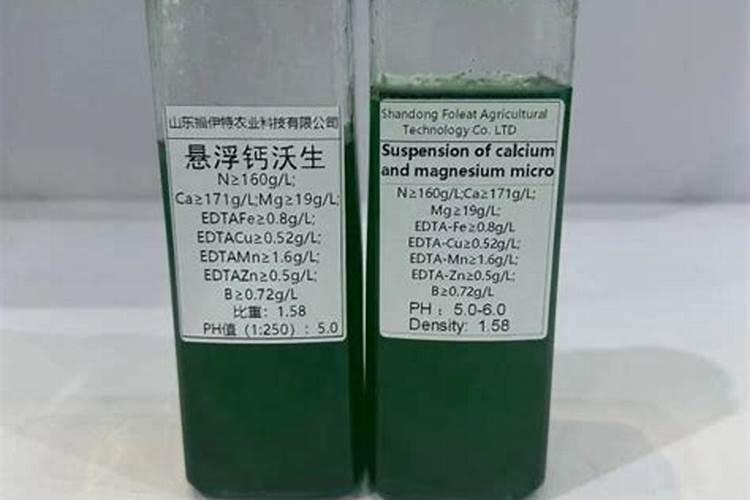 大丰村位于哪里
