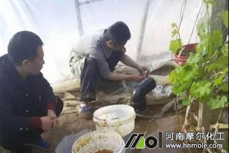 油饼肥料的发酵及使用
