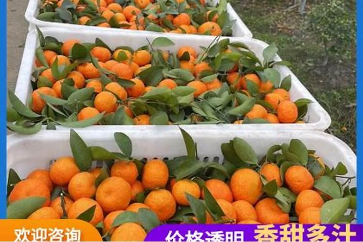 宁夏鲁西化工化肥有限公司的公司简介