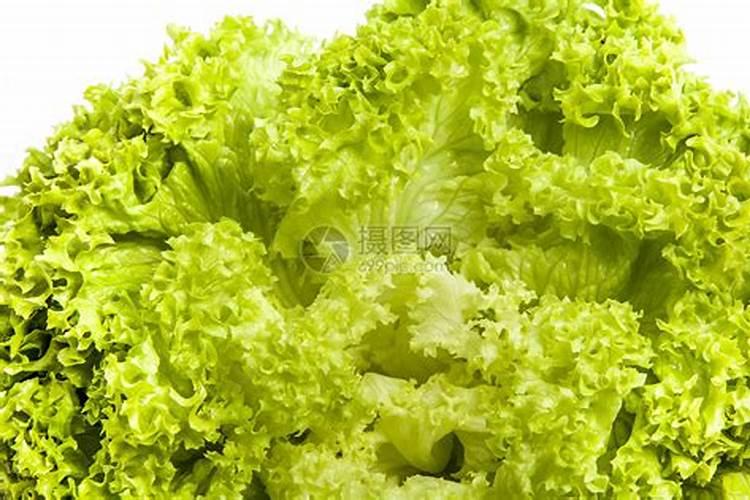 苹果树施肥最佳时间和方法及配方