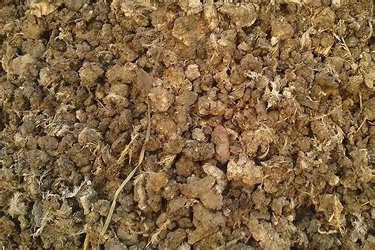 粪肥和尿素哪种是有机肥料