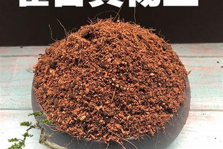 黄杨用什么肥料好