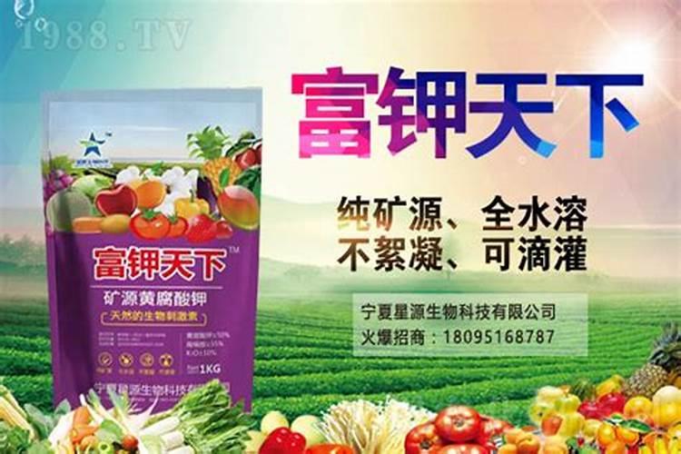果树全年都使用水溶肥可以吗,水溶肥怎么用效果好