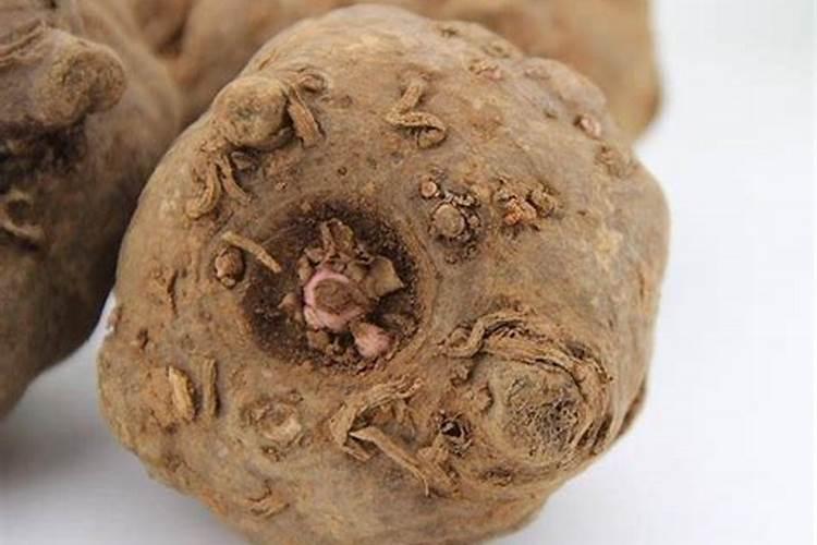 魔芋用什么肥料产量高 附施肥注意事项