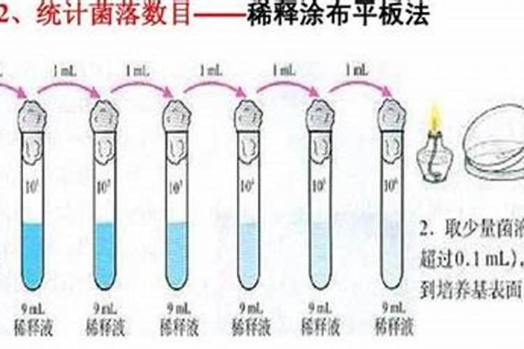 芸苔素使用技巧