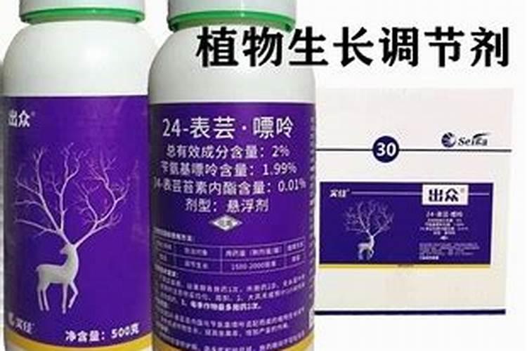 柑橘现蕾期可以用芸苔素吗？