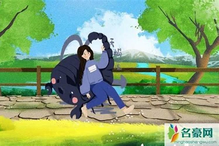 叶面肥能代替土壤施肥吗
