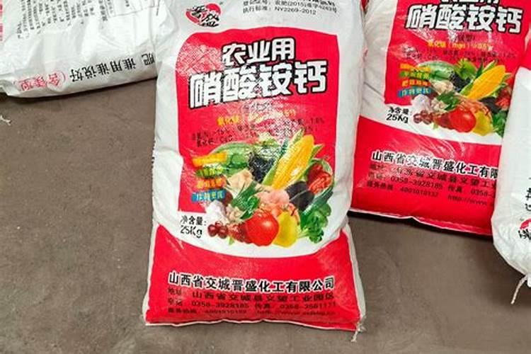 冬天吃山药要什么禁忌,山药要怎么吃最营养