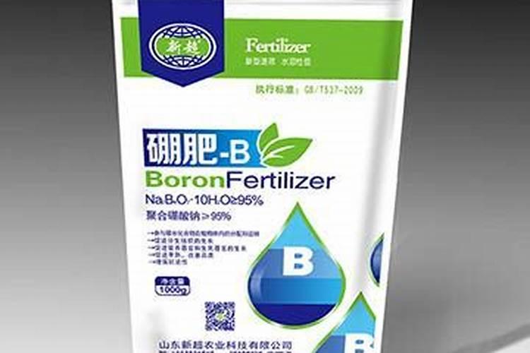 观音竹水培放多少水
