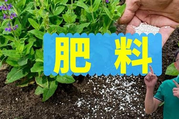 鱼蛋白对植物的作用