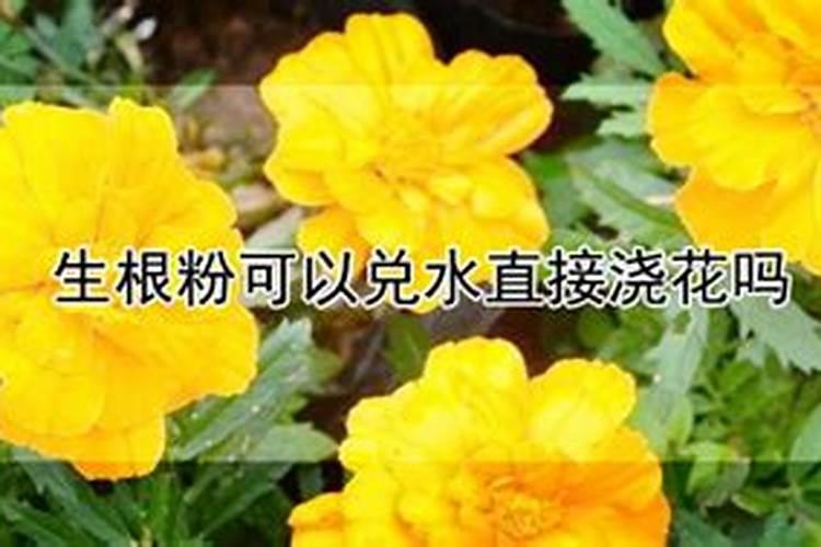 促进植物生根的肥料是钾肥还是磷肥