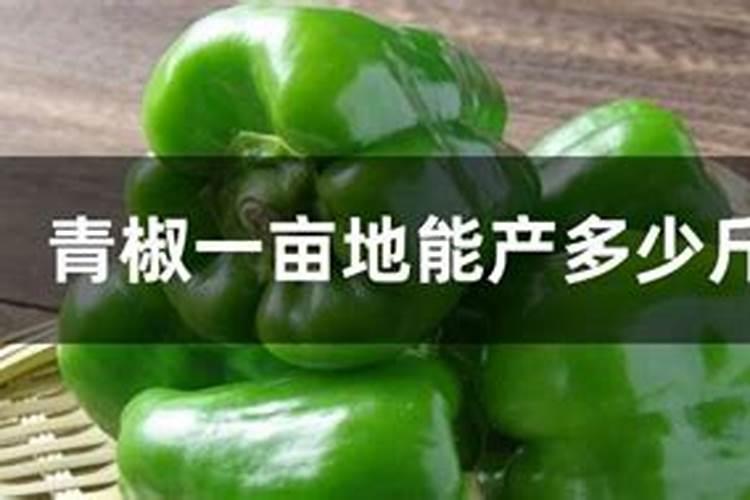 硼肥不能和什么一起用？如果使用错误会产生哪些影响？