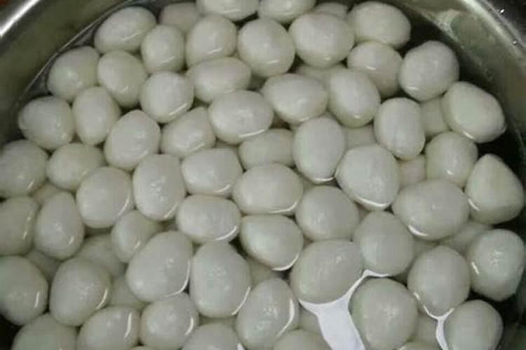 玉米苗多少天可以移栽 玉米侧芽需要掰掉吗