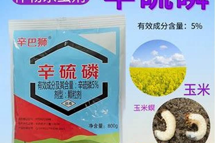 草坪养护管理论文