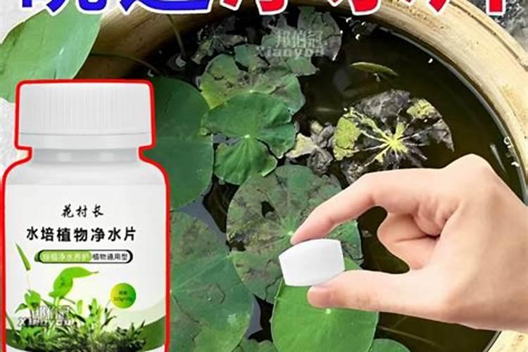 核桃树什么时候施钾肥最好