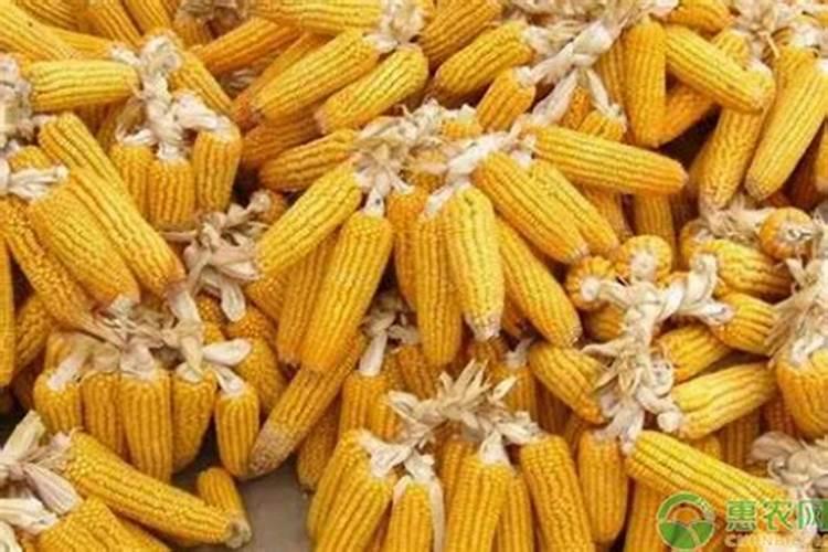 钾肥在葡萄中主要起什么作用