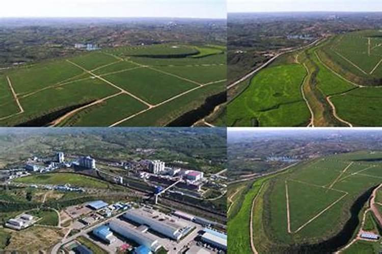 水溶肥是什么肥料