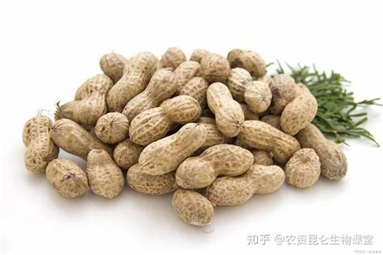 草莓生根壮苗的水溶肥有几种？