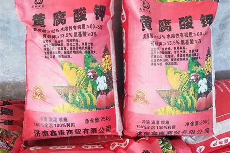 什么是生肽原？