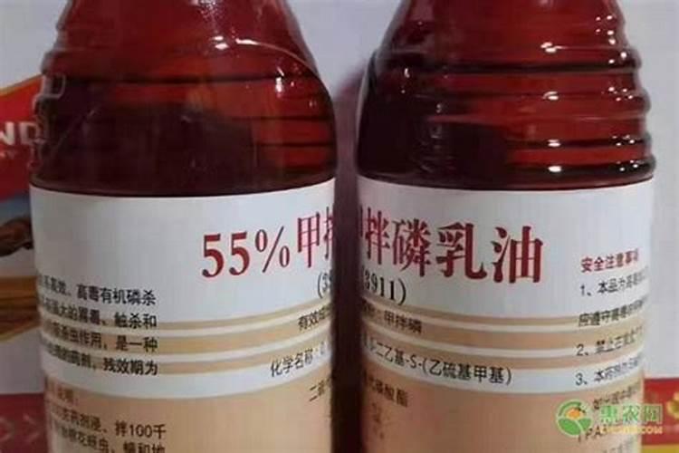 甜瓜高产种植技巧