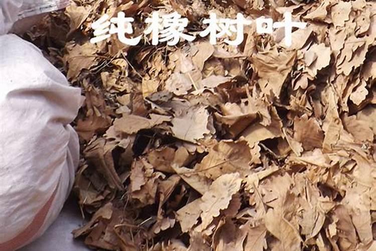 大棚阴天下雨可以打叶面肥吗