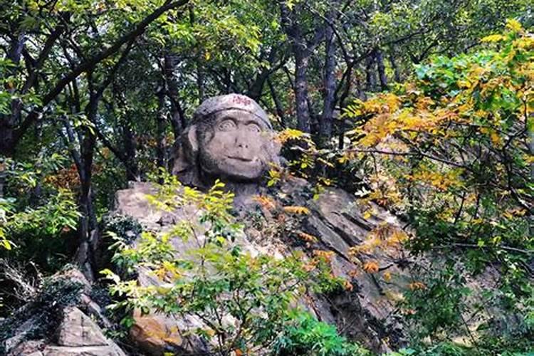 枸杞用什么肥料最好 ？枸杞打什么叶面肥好？枸杞生根用什么肥料好百度知 ...
