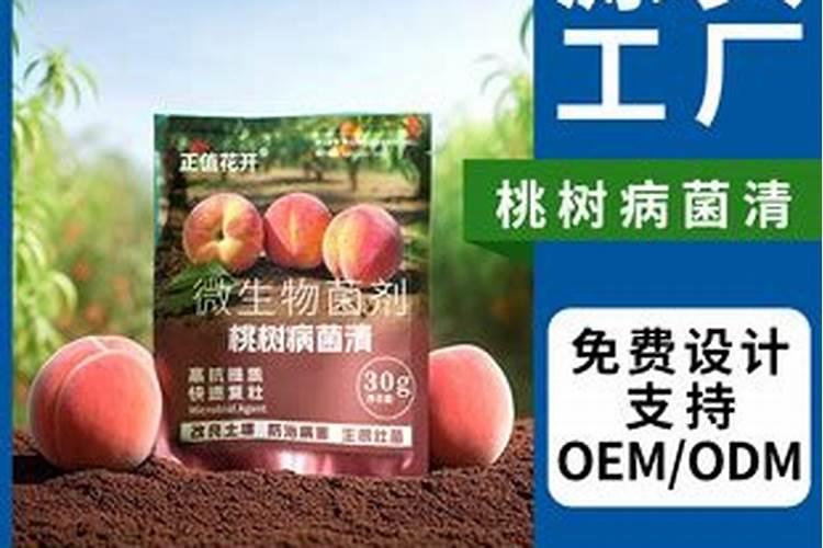 五指毛桃苗要用什么肥