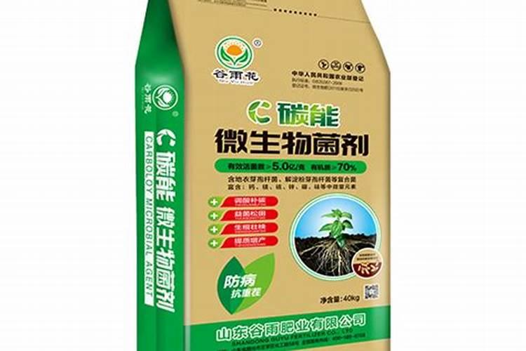 这是草莓冻害吗？如何补救？