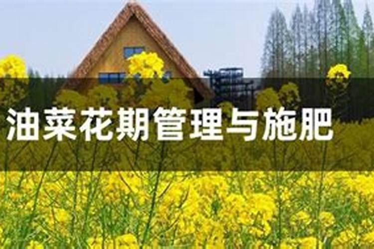 瑞年铁锌钙硒多种维生素片多少钱一盒