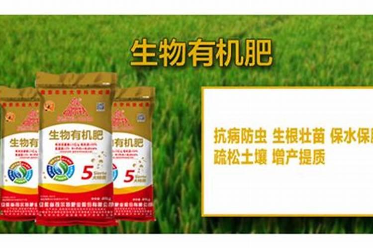 石斛兰黄叶是咋回事